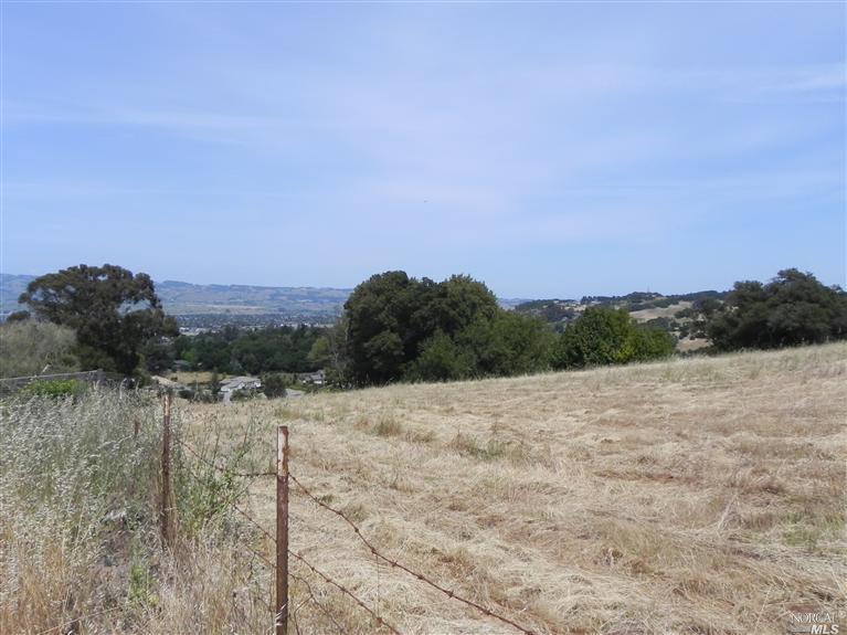 31 Wallenberg Way, Petaluma, CA 94952 photo 4