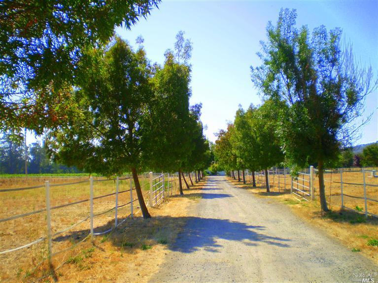 1579 Sperring Rd, Sonoma, CA 95476 photo 1