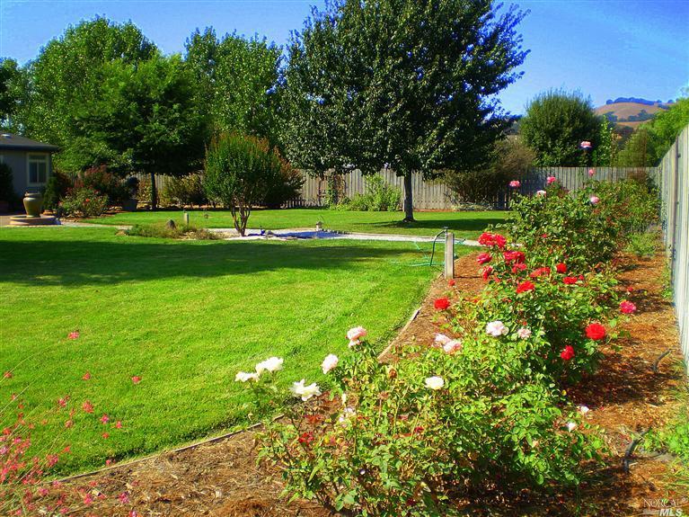 1579 Sperring Rd, Sonoma, CA 95476 photo 4