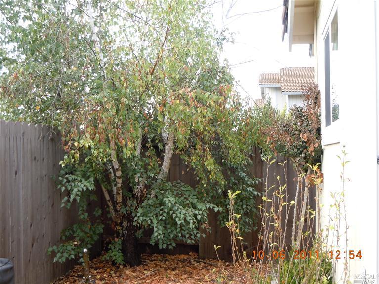 Undisclosed, Santa Rosa, CA 95403 photo 8
