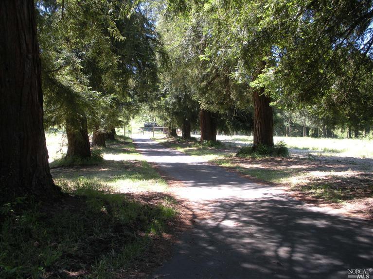 4094 E 3rd Ave, Napa, CA 94558 photo 3