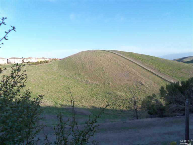 6599 Byron Ln, San Ramon, CA 94582 photo 15