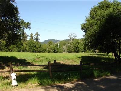 Undisclosed, San Geronimo, CA 94963 photo 2