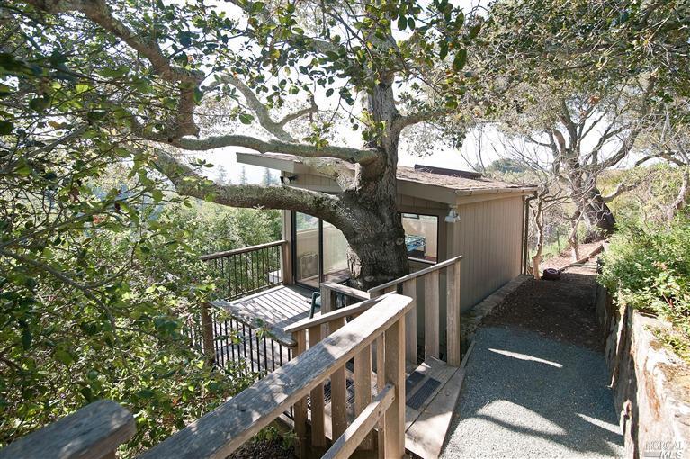 8 Pomeroy Rd, Ross, CA 94957 photo 22
