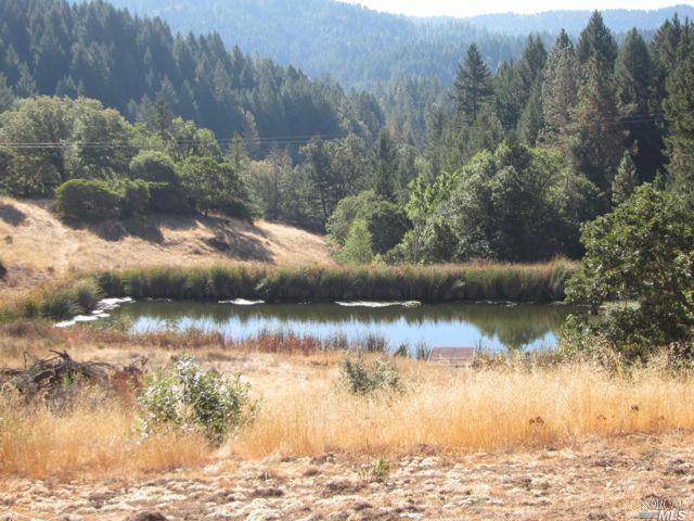 Undisclosed, Willits, CA 95490 photo 11