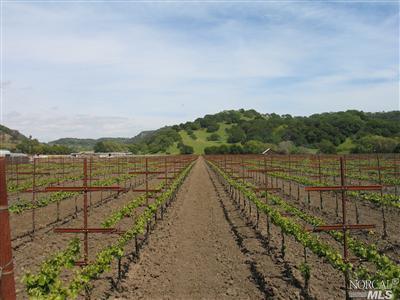 Undisclosed, Fairfield, CA 94534 photo 1