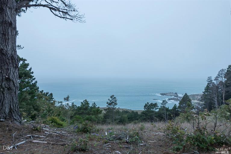 21973 Timber Cove Rd, Jenner, CA 95450 photo 2