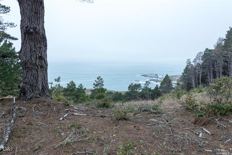 21973 Timber Cove Rd, Jenner, CA 95450 photo 5