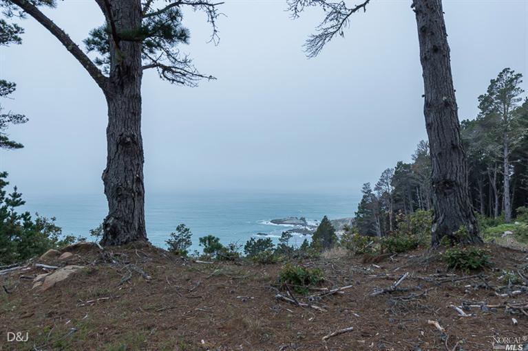 21973 Timber Cove Rd, Jenner, CA 95450 photo 4