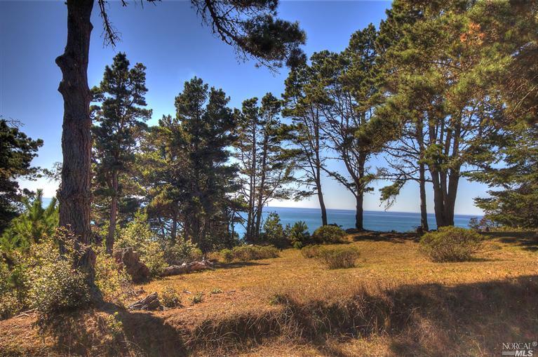 21973 Timber Cove Rd, Jenner, CA 95450 photo 3