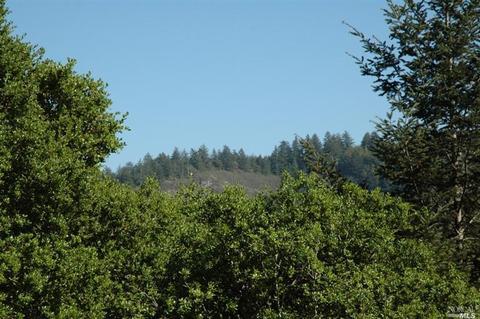 152 Alta Ave, Lagunitas, CA 94938 photo 4