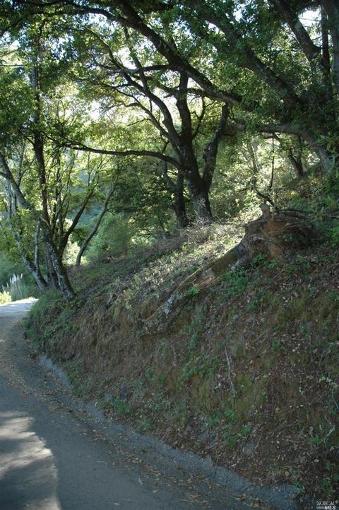 152 Alta Ave, Lagunitas, CA 94938 photo 19
