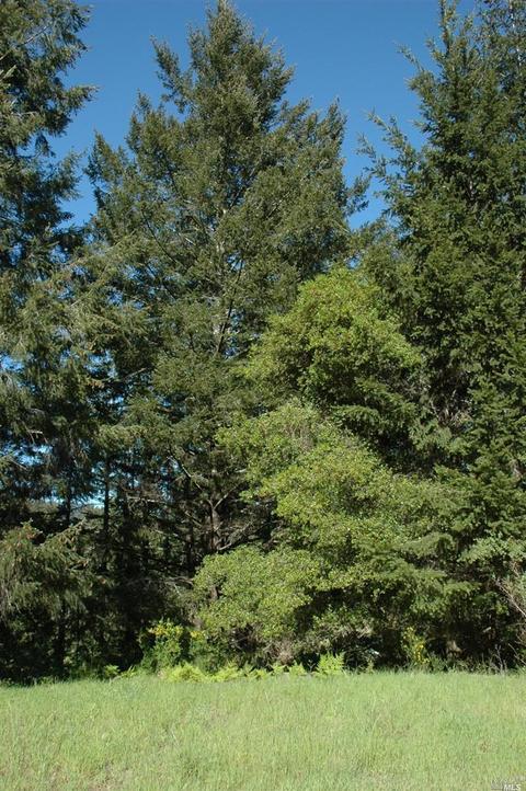 152 Alta Ave, Lagunitas, CA 94938 photo 8