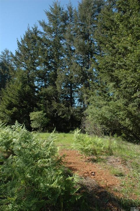 152 Alta Ave, Lagunitas, CA 94938 photo 10