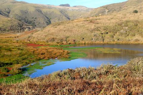 2980 Lucille Ave, Bodega Bay, CA 94923 photo 9