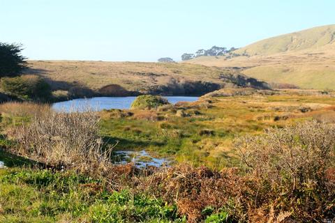 2980 Lucille Ave, Bodega Bay, CA 94923 photo 10