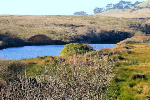 2980 Lucille Ave, Bodega Bay, CA 94923 photo 11