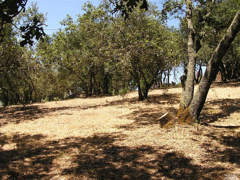 Undisclosed, Sonoma, CA 95476 photo 5