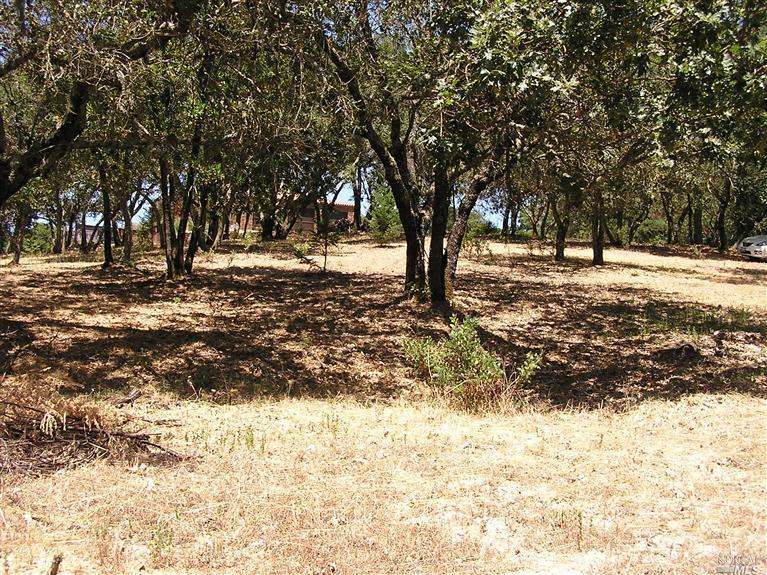 Undisclosed, Sonoma, CA 95476 photo 6
