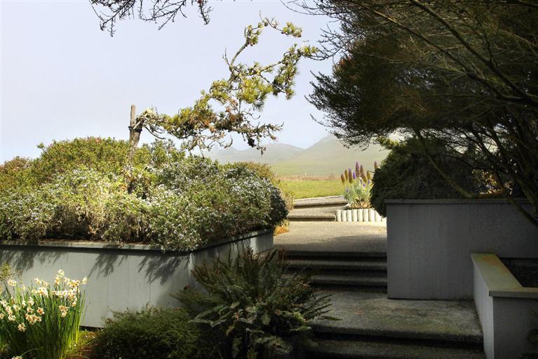 20390 Osprey Dr, Bodega Bay, CA 94923 photo 24