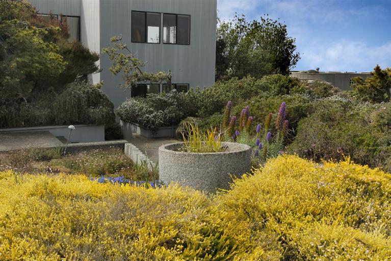 20390 Osprey Dr, Bodega Bay, CA 94923 photo 6