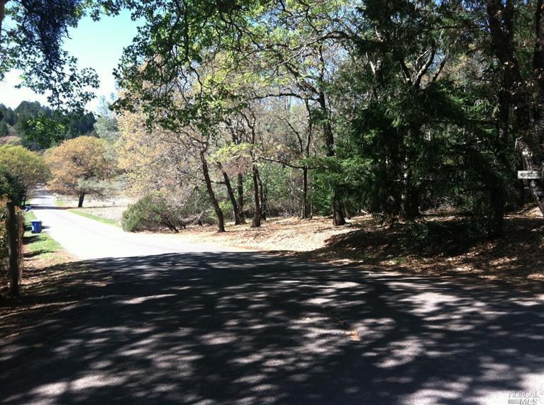 1200 Summit Lake Dr, Angwin, CA 94508 photo 9