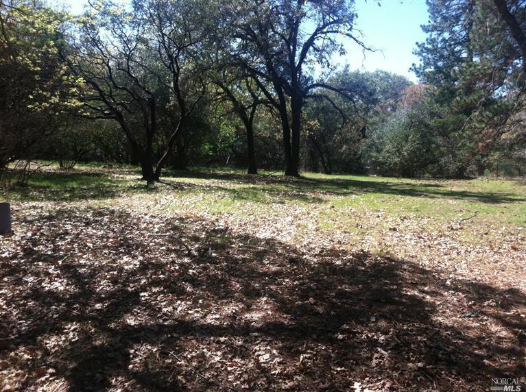 1200 Summit Lake Dr, Angwin, CA 94508 photo 4