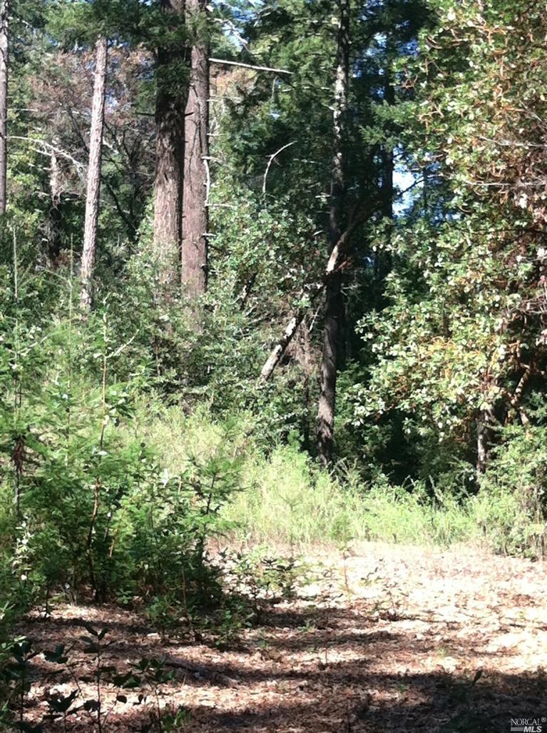 1200 Summit Lake Dr, Angwin, CA 94508 photo 8