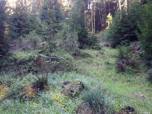 15105 Bittner Rd, Occidental, CA 95465 photo 3