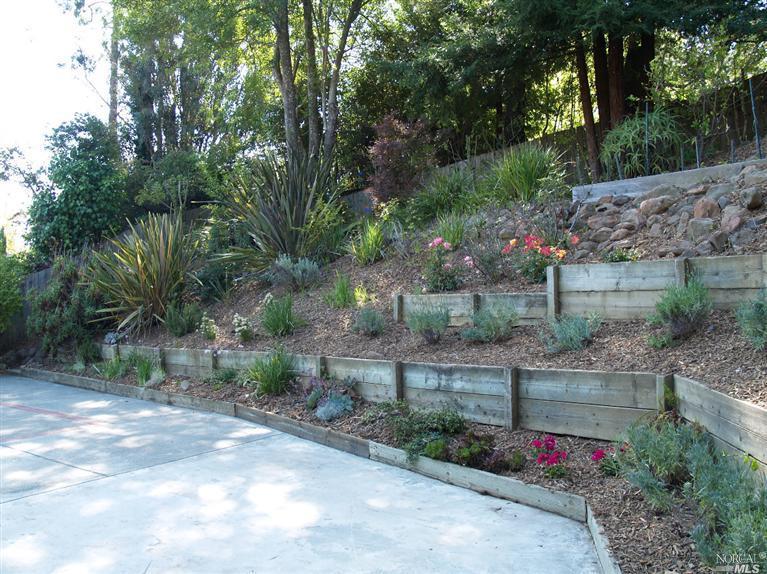 62 Millay Pl, Mill Valley, CA 94941 photo 3