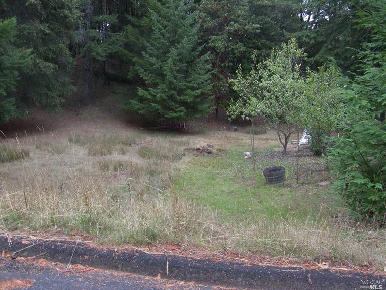 26561 Ridge Rd, Willits, CA 95490 photo 1