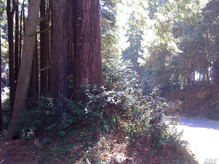 21980 Timber Cove Rd, Jenner, CA 95450 photo 6