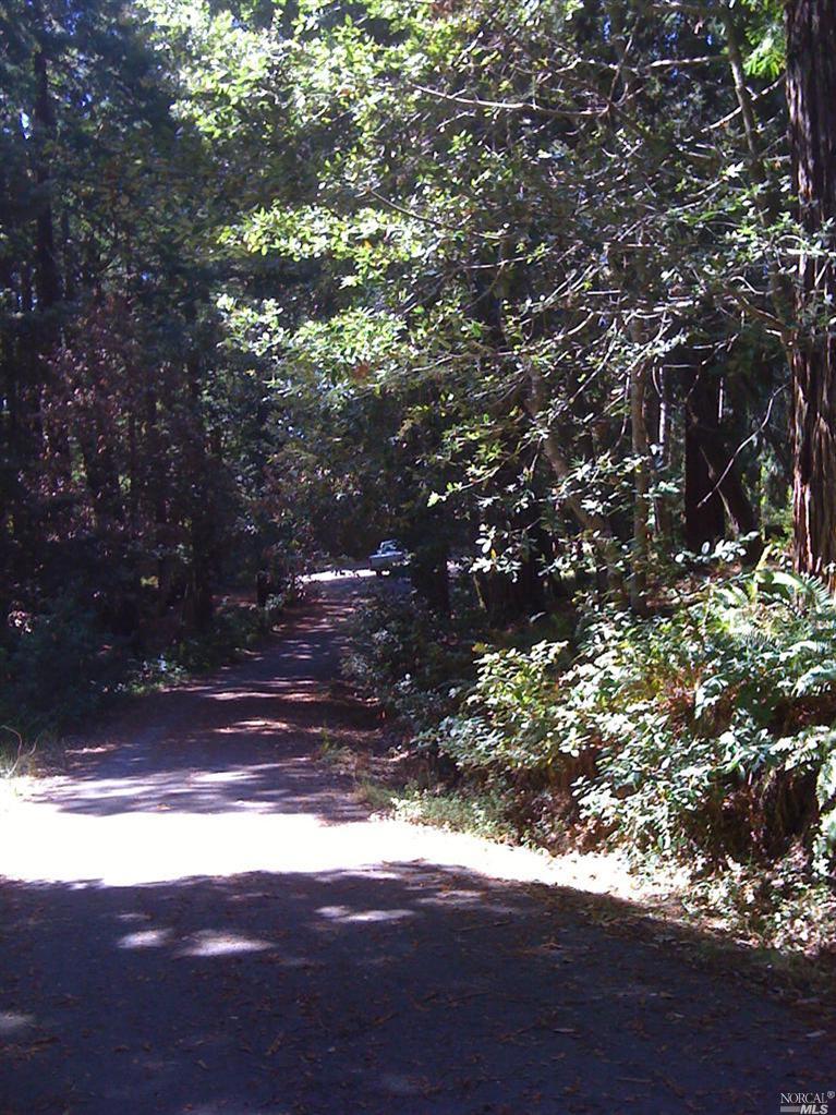 21980 Timber Cove Rd, Jenner, CA 95450 photo 9