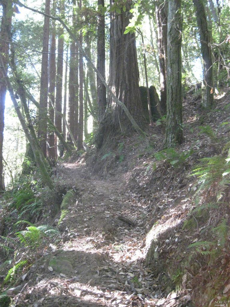 21980 Timber Cove Rd, Jenner, CA 95450 photo 4