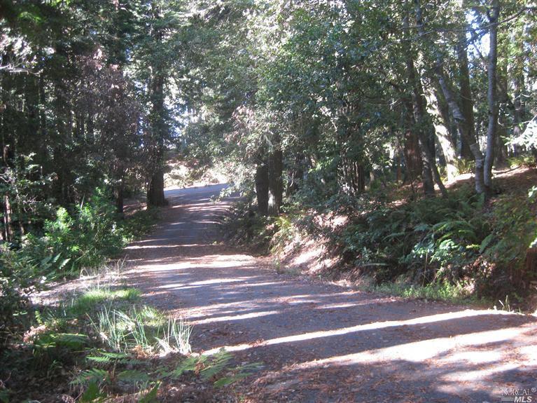 21980 Timber Cove Rd, Jenner, CA 95450 photo 5