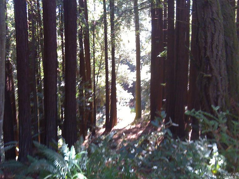 21980 Timber Cove Rd, Jenner, CA 95450 photo 8