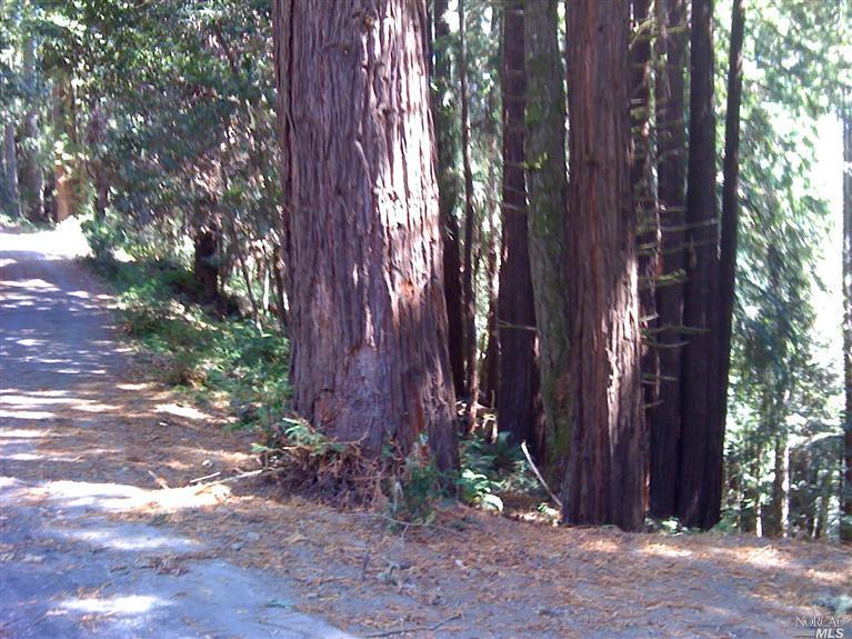 21980 Timber Cove Rd, Jenner, CA 95450 photo 7