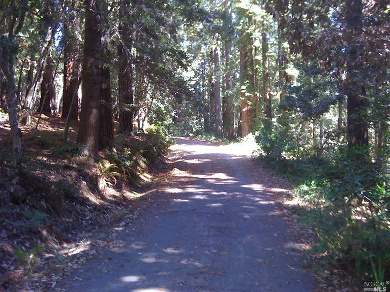 21980 Timber Cove Rd, Jenner, CA 95450 photo 10