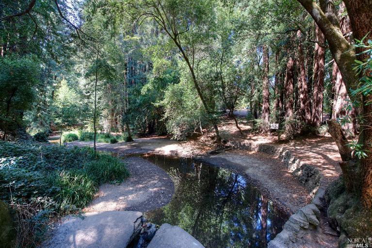 43 Lovell Ave, Mill Valley, CA 94941 photo 8