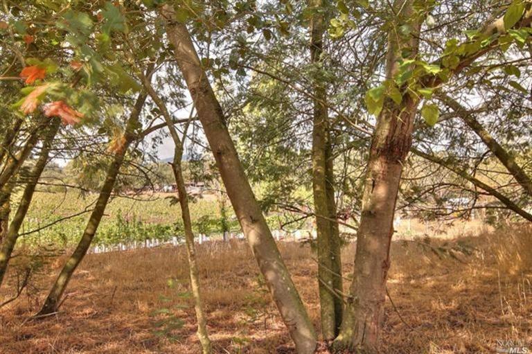 2721 Mark West Station Rd, Windsor, CA 95492 photo 17
