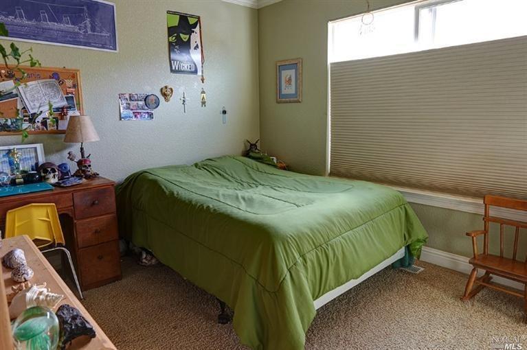 1149 Rochioli Dr, Windsor, CA 95492 photo 20