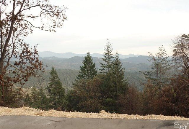 Undisclosed, Willits, CA 95490 photo 16