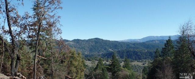 Undisclosed, Willits, CA 95490 photo 19