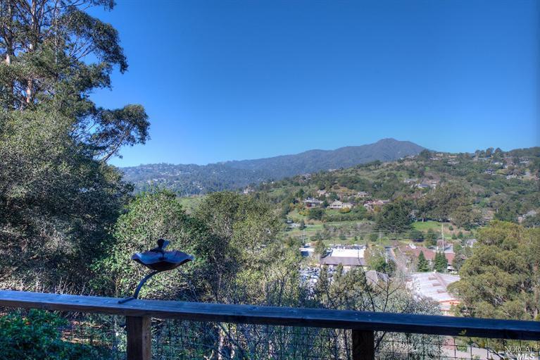 40 Longfellow Rd, Mill Valley, CA 94941 photo 15