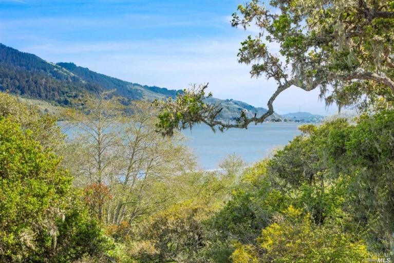 1125 Olema Bolinas Rd, Bolinas, CA 94924 photo 18