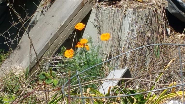 Undisclosed, Petaluma, CA 94952 photo 24