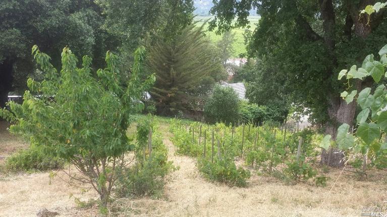 3315 Old River Rd, Ukiah, CA 95482 photo 7