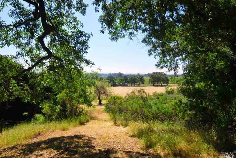 17986 Carriger Rd, Sonoma, CA 95476 photo 7
