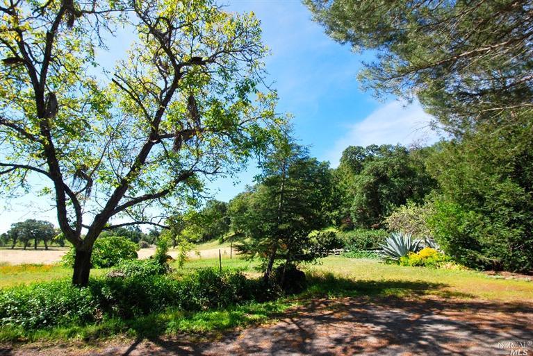 17986 Carriger Rd, Sonoma, CA 95476 photo 19