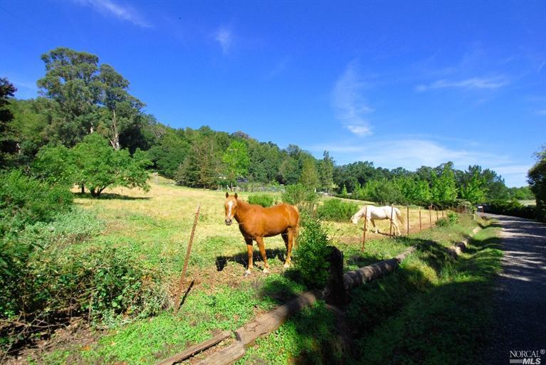 17986 Carriger Rd, Sonoma, CA 95476 photo 4